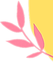 Shape image
